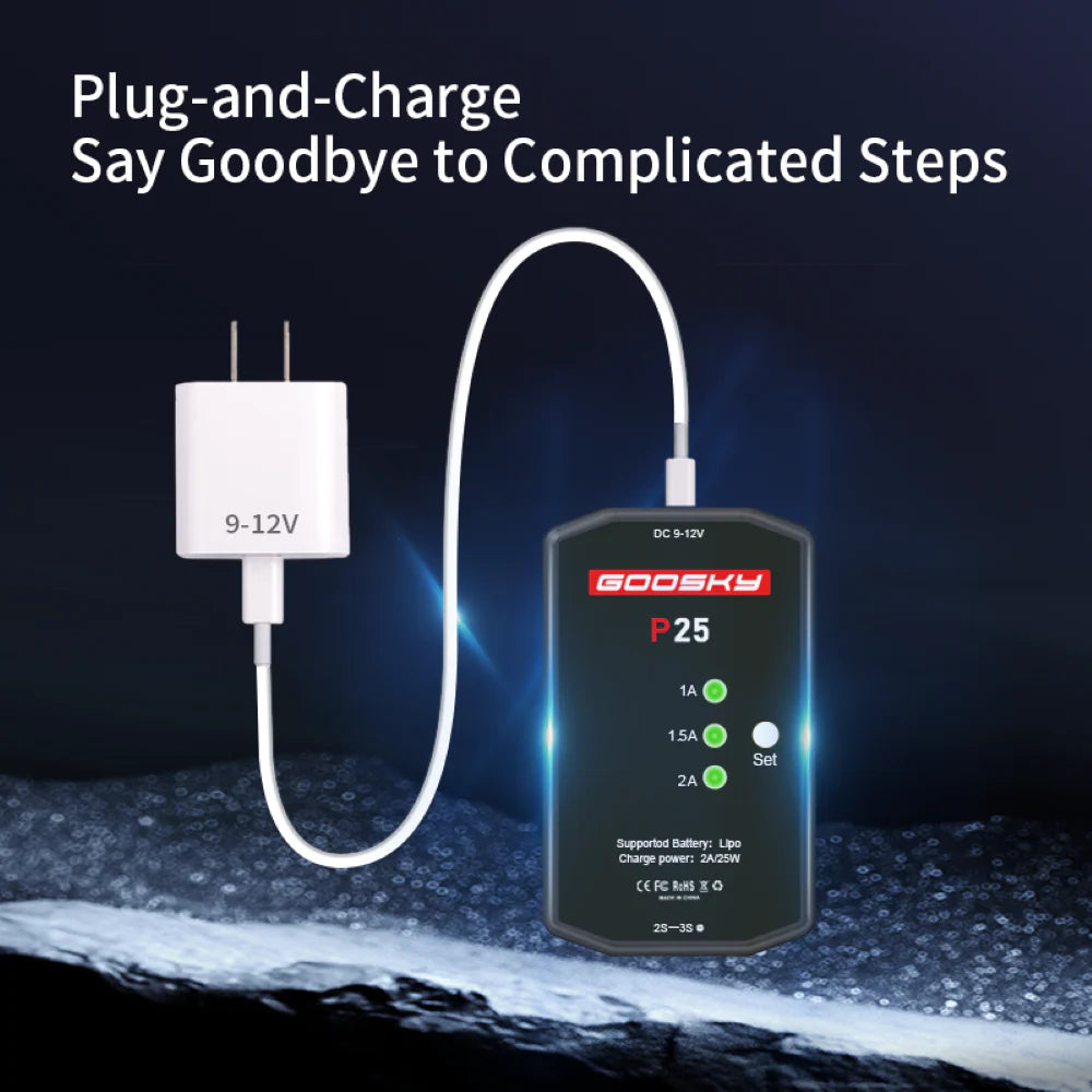 GT050042 Goosky P25 2-3S Charger