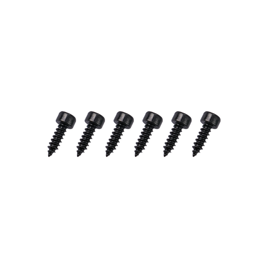 GT040115 Goosky RS7 Screws - ST3X10