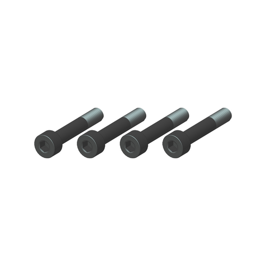 GT060076 RS5 Screw - M4X22